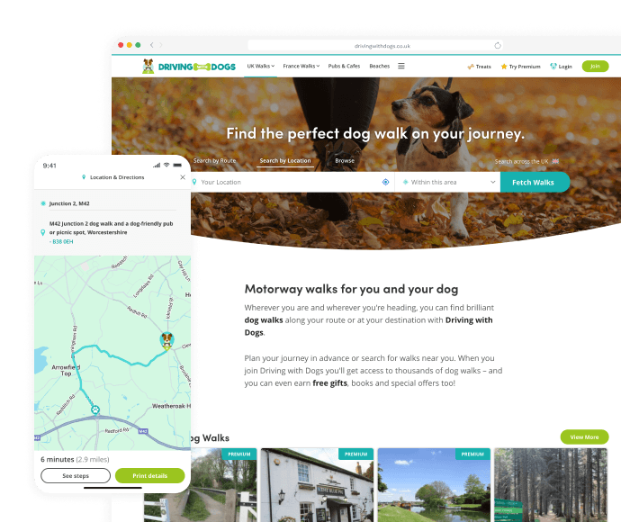 Driving with dog website Illustration