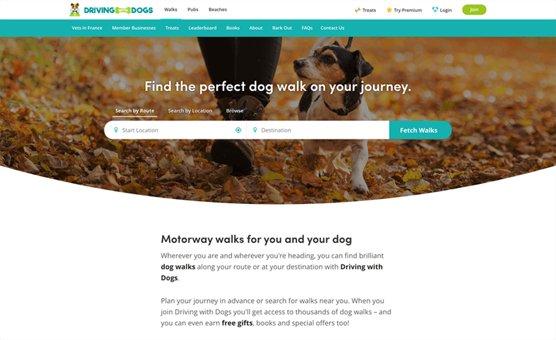 Screenshot of the Driving with Dogs search on the homepage