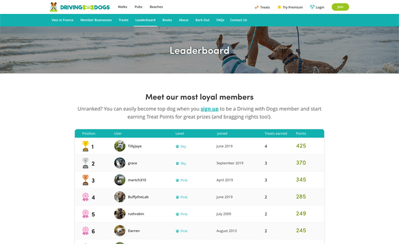 Screenshot of the Driving with Dogs leaderboard